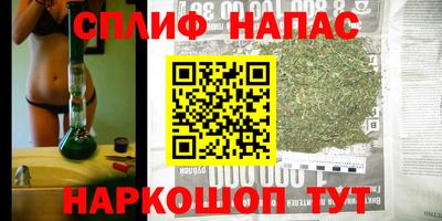 ПСИЛОЦИБИНОВЫЕ ГРИБЫ Пугачёв